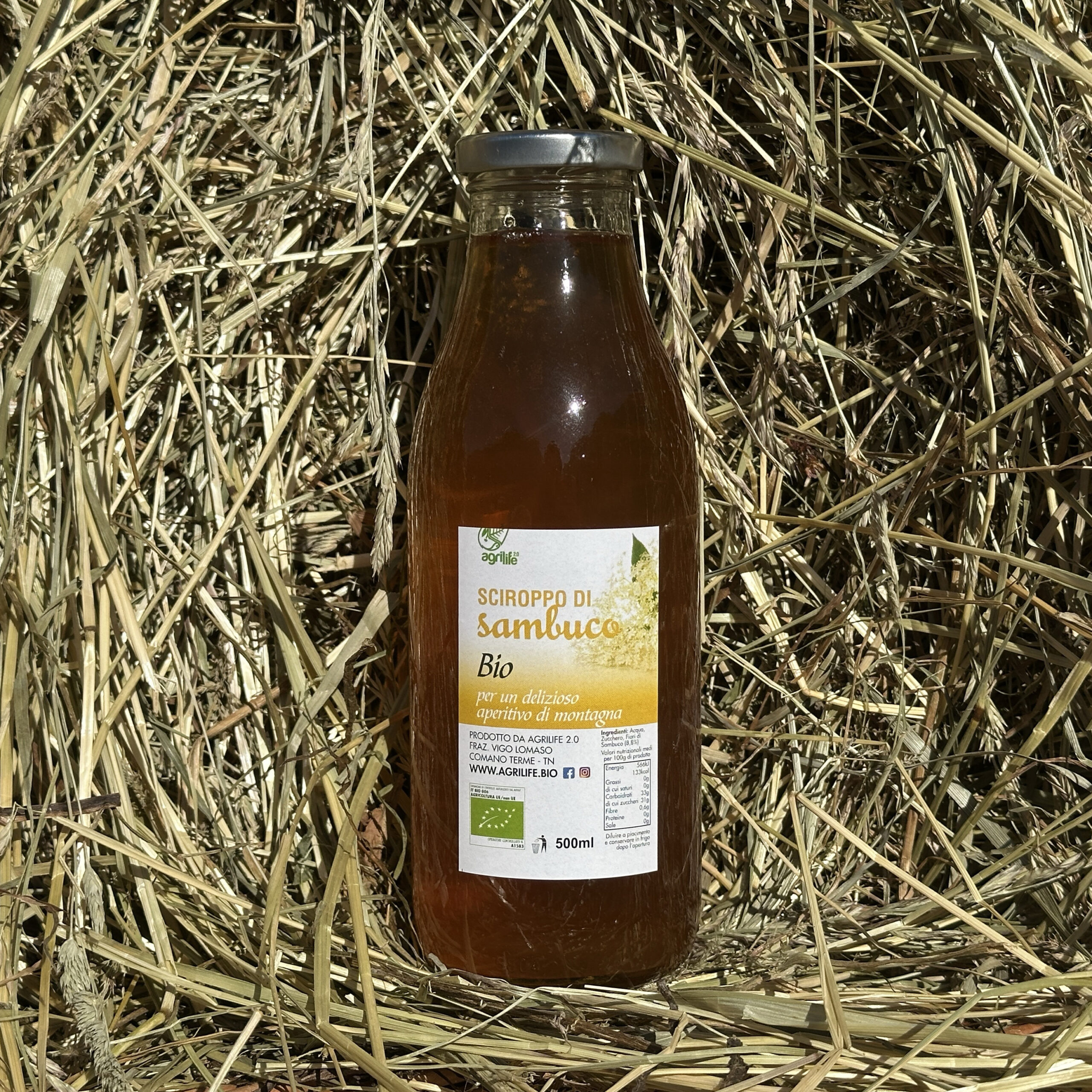 Succo di Sambuco