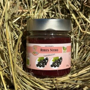 Ribes nero