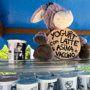 Yogurt bianco intero