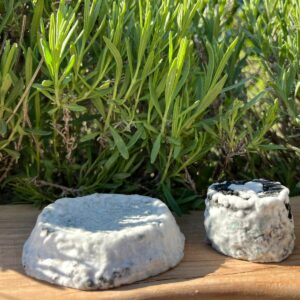 Robiola stagionata al carbone vegetale