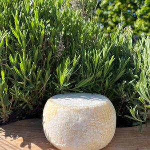 Caciotta Bianca